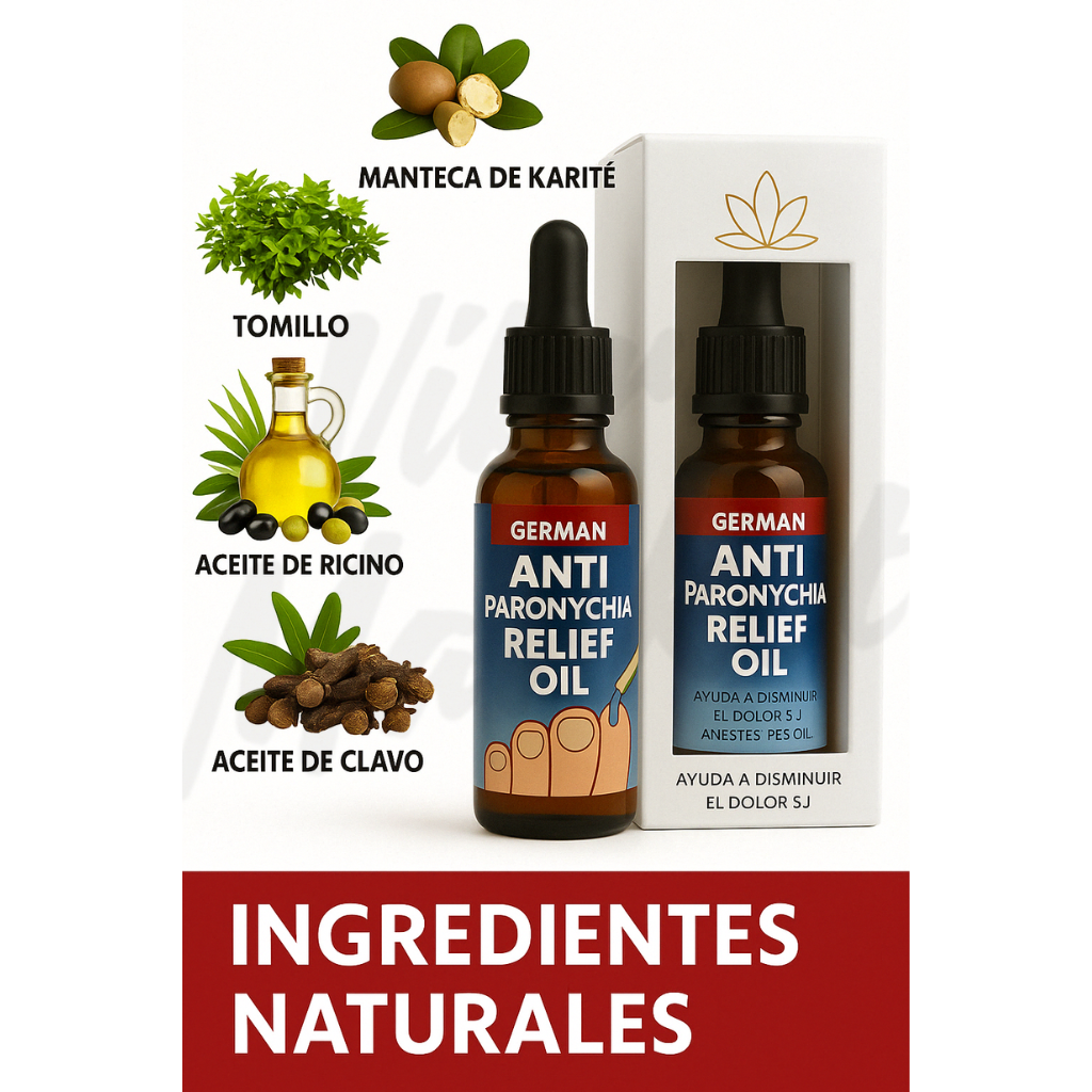 Encabezado