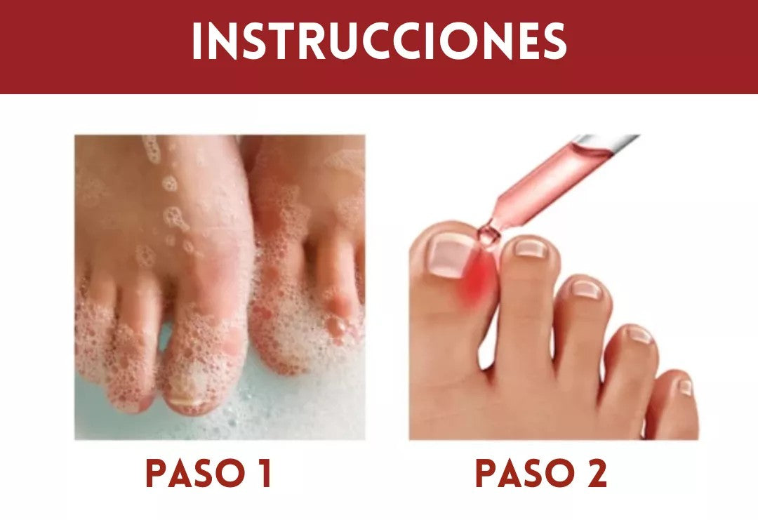 Encabezado