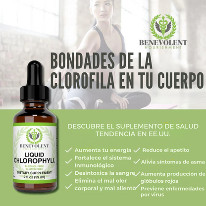Clorofila Líquida Natural – Tu cuerpo más ligero y fresco desde adentro