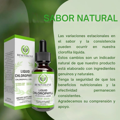 Clorofila Líquida Natural – Tu cuerpo más ligero y fresco desde adentro