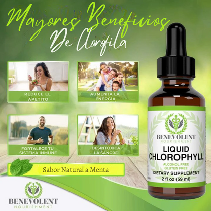 Clorofila Líquida Natural – Tu cuerpo más ligero y fresco desde adentro