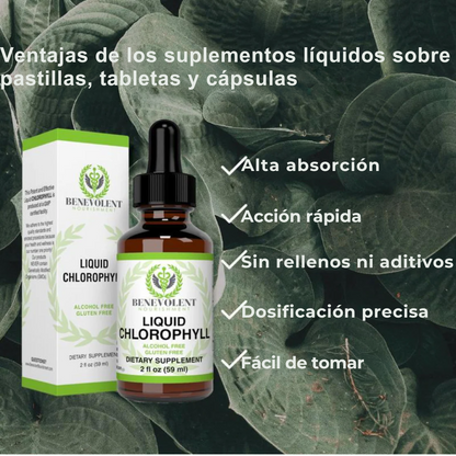 Clorofila Líquida Natural – Tu cuerpo más ligero y fresco desde adentro