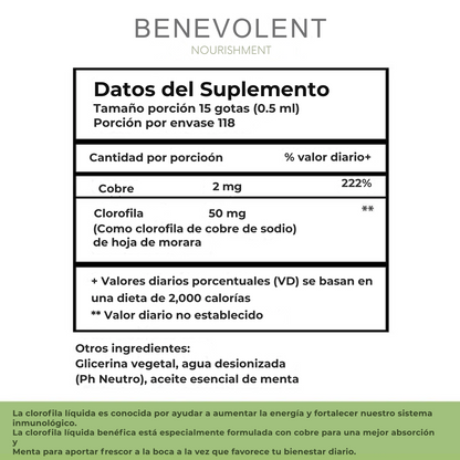 Clorofila Líquida Natural – Tu cuerpo más ligero y fresco desde adentro